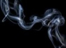Kwikfynd Drain Smoke Testing
webbscreek